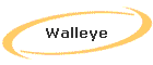 Walleye